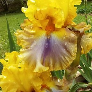 Meet your Posher, Jessica  rayann